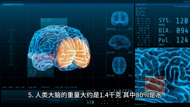 世界上最有趣的10个冷知识，你知道几个？987 / 作者:张利亚 / 帖子ID:122369