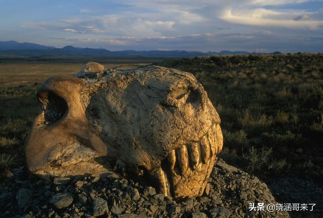 人类消失1万年后，地球会变成什么样子？660 / 作者:幸福教主浦 / 帖子ID:122420