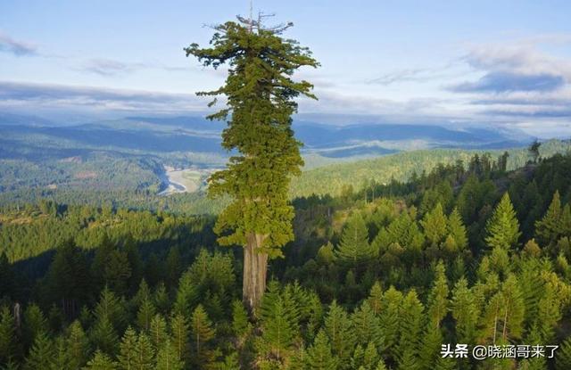 人类消失1万年后，地球会变成什么样子？309 / 作者:幸福教主浦 / 帖子ID:122420