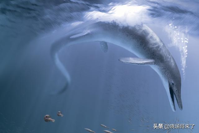 人类消失1万年后，地球会变成什么样子？759 / 作者:幸福教主浦 / 帖子ID:122420