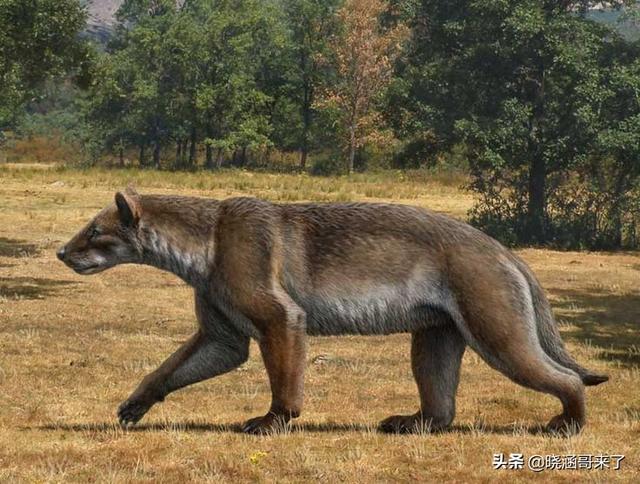 人类消失1万年后，地球会变成什么样子？390 / 作者:幸福教主浦 / 帖子ID:122420