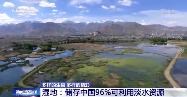 “地球之肾”有多重要？一起来了解神奇的湿地568 / 作者:123458086 / 帖子ID:122694