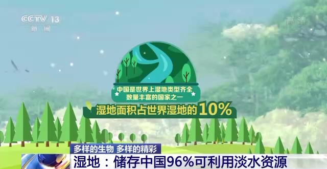 “地球之肾”有多重要？一起来了解神奇的湿地660 / 作者:123458086 / 帖子ID:122694