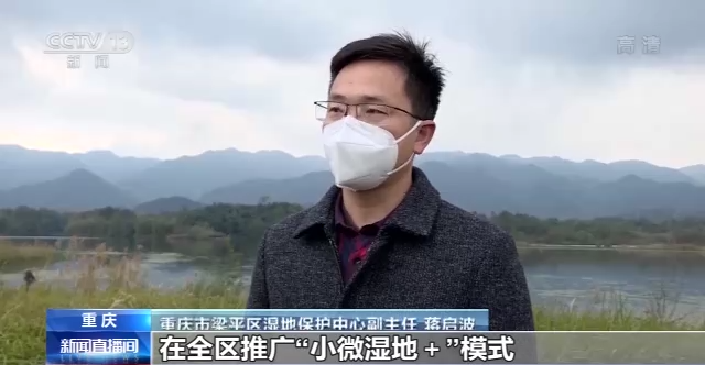 “地球之肾”有多重要？一起来了解神奇的湿地147 / 作者:123458086 / 帖子ID:122694