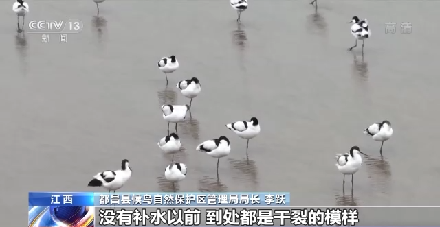 “地球之肾”有多重要？一起来了解神奇的湿地586 / 作者:123458086 / 帖子ID:122694