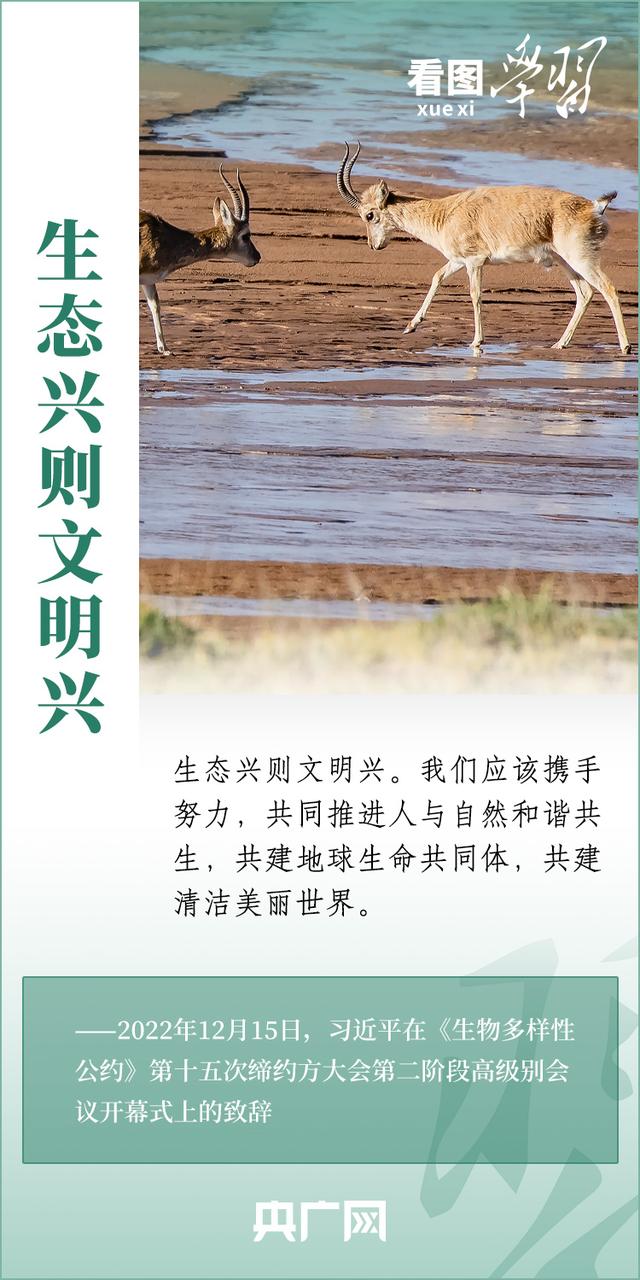 看图学习丨推动全球生物多样性治理迈上新台阶923 / 作者:令狐佳人 / 帖子ID:122768