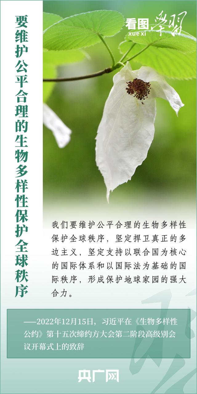 看图学习丨推动全球生物多样性治理迈上新台阶913 / 作者:令狐佳人 / 帖子ID:122768
