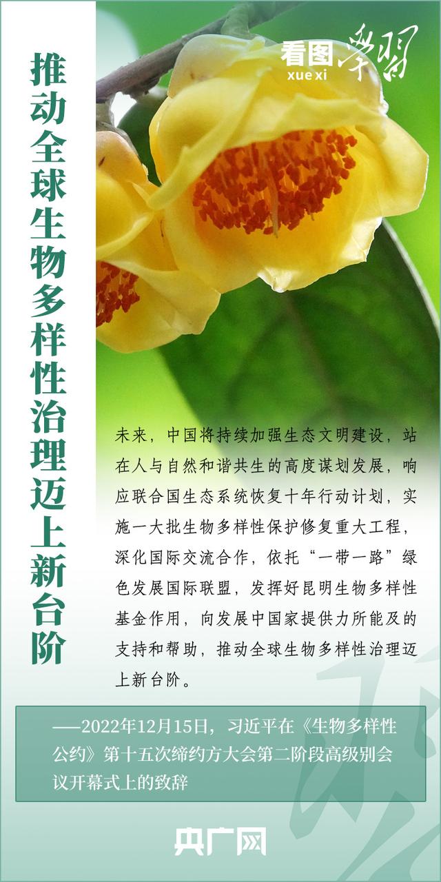 看图学习丨推动全球生物多样性治理迈上新台阶259 / 作者:令狐佳人 / 帖子ID:122768