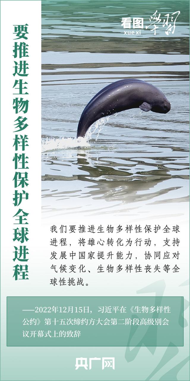 看图学习丨推动全球生物多样性治理迈上新台阶24 / 作者:令狐佳人 / 帖子ID:122768