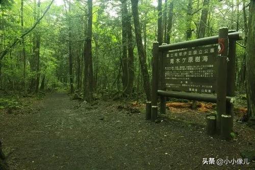 盘点一下世界之最，最长丁丁竟然有60㎝！！464 / 作者:大路84 / 帖子ID:122820