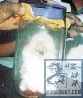 超自然灵异事件大集合840 / 作者:明月照大江754 / 帖子ID:122825