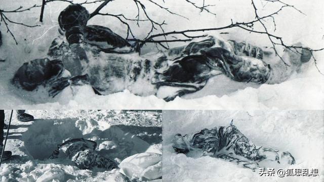 最神秘的死亡事件，【迪亚特洛夫事件】始末！178 / 作者:丽颜美容院郧 / 帖子ID:122852
