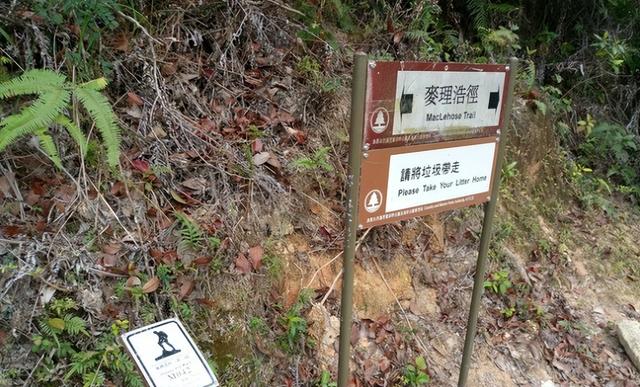 2016年，香港45岁男子登山失联，3000字诡异求生记录，幻境或现实736 / 作者:笑对人生153 / 帖子ID:122952