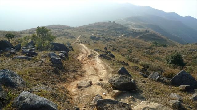 2016年，香港45岁男子登山失联，3000字诡异求生记录，幻境或现实842 / 作者:笑对人生153 / 帖子ID:122952