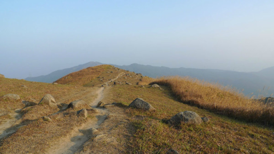 2016年，香港45岁男子登山失联，3000字诡异求生记录，幻境或现实396 / 作者:笑对人生153 / 帖子ID:122952