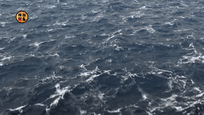 回顾香港空难营救事件，南海上空双引擎失效，飞行员仅靠油门降落412 / 作者:亦木近北栽 / 帖子ID:122970