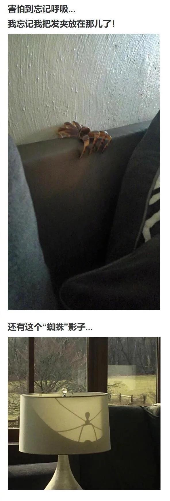 胆小勿入，生活中的各种灵异事件193 / 作者:916440521 / 帖子ID:123020