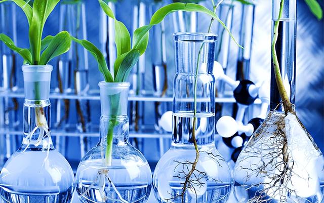 英国留学专业介绍——生物学243 / 作者:兰905 / 帖子ID:123024