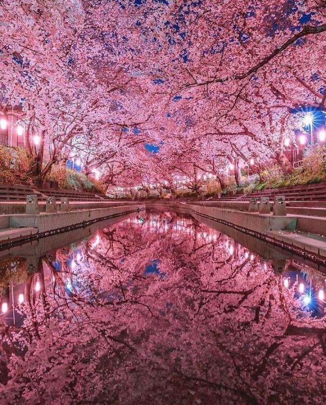 世界上35个神奇美丽的地方，你可能从未见过，能在这里一天也好641 / 作者:乔峰之逆风痰 / 帖子ID:123032