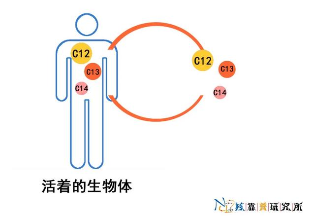 三星堆是“外星文明”吗？用核技术搞清楚了！474 / 作者:yslzaity / 帖子ID:123034
