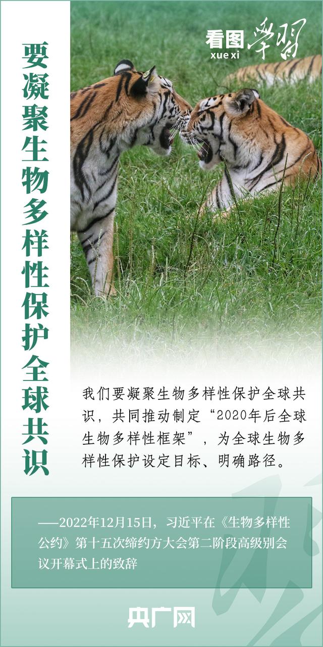 看图学习丨推动全球生物多样性治理迈上新台阶849 / 作者:甜言疯语 / 帖子ID:123065