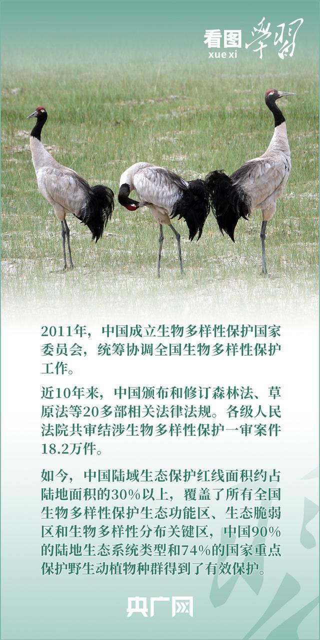 看图学习丨推动全球生物多样性治理迈上新台阶175 / 作者:甜言疯语 / 帖子ID:123065