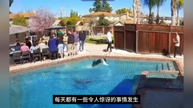 天上下茄子？笑脸云？16个让人难以置信的画面！ #不明飞行物295 / 作者:张永峰 / 帖子ID:123240