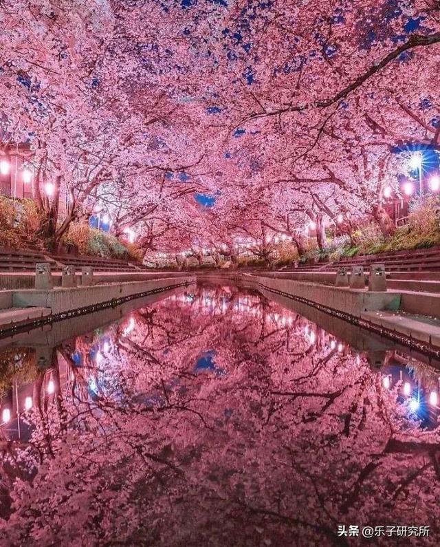 世界上35个神奇美丽的地方，你可能从未见过......434 / 作者:一身似水厝 / 帖子ID:123370