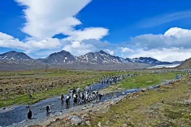 世界上最大的无主之地：相当于四个印度面积，石油储量达1000亿桶29 / 作者:水月花郎稳 / 帖子ID:123381