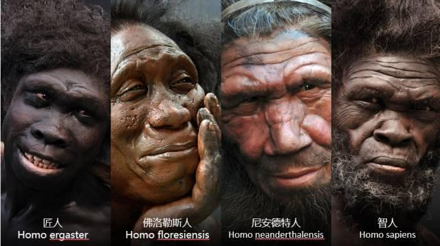 一口气看完46亿年地球史，原来人类如此渺小960 / 作者:醉生三世生d / 帖子ID:123580