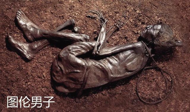 墨西哥公开外星人尸体! 身体内还有三个蛋：不属于地球进化过程662 / 作者:清凉一夏啊沼 / 帖子ID:123655