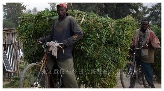 世界上最穷国家：每月收入仅95元，自行车是豪车，连跑步都不允许461 / 作者:民工丁氛 / 帖子ID:123661