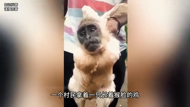 世界上那些真实又离奇的神秘事件！171 / 作者:wpwexx127388 / 帖子ID:123682