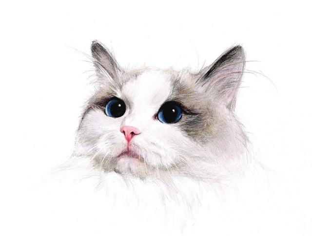 看15个短小故事，猜15位历史人物，你能猜对几个？-2.jpg