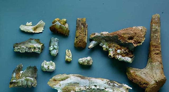 16万年前的古代文明：地球历史的巨大谜团！发现震撼了整个科学界52 / 作者:天褐女孩涛 / 帖子ID:123759