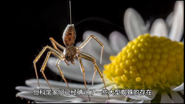 世界上的奇闻逸事：人体自燃、巨型蜘蛛、麦田怪圈、神秘失踪206 / 作者:爱之关怀阿飞米 / 帖子ID:123770