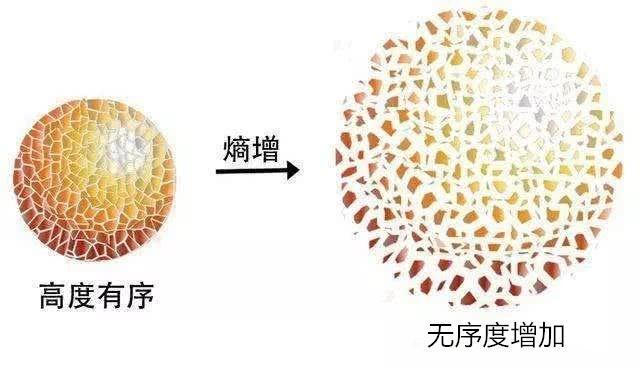 深度长文：宇宙也终会死亡，但人类仍有两种方式延续文明种子！228 / 作者:123457748 / 帖子ID:123823