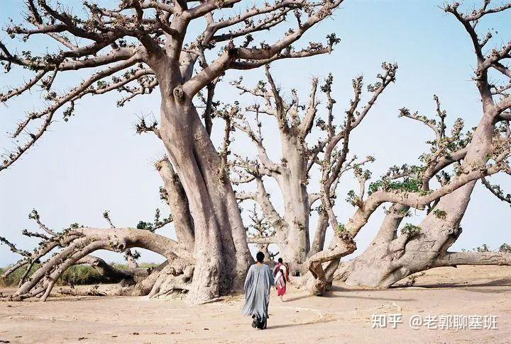 《纽约时报》评选出2021全球最值得去的52个地方422 / 作者:民工丁氛 / 帖子ID:123870