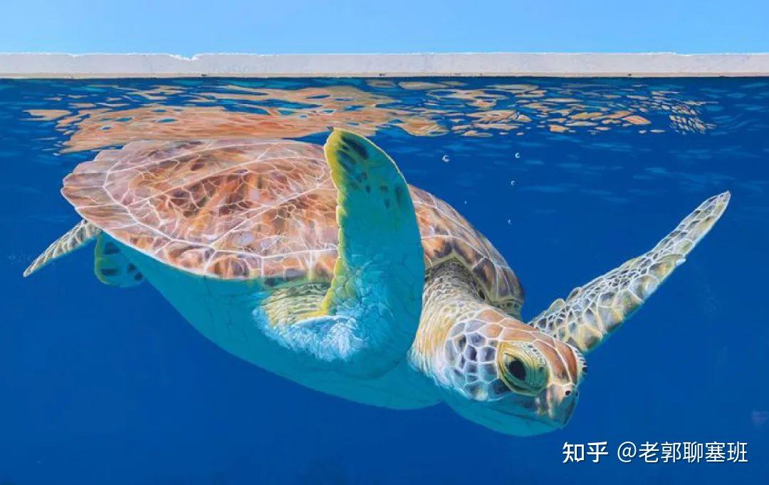 《纽约时报》评选出2021全球最值得去的52个地方831 / 作者:民工丁氛 / 帖子ID:123870