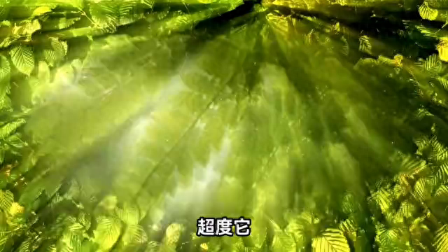 盘点世界上的离奇事件466 / 作者:永远丶并不远 / 帖子ID:123977