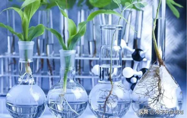 大学专业分享61：生物科学999 / 作者:云海听松 / 帖子ID:123978