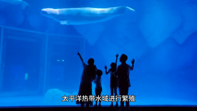 世界十大未解之谜9 / 作者:北府老谢硬 / 帖子ID:124030