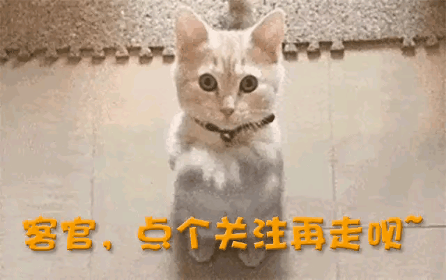 世界上只有中国和外国？西方学者：中国人的信仰我们做不到640 / 作者:绿色的雪 / 帖子ID:124071