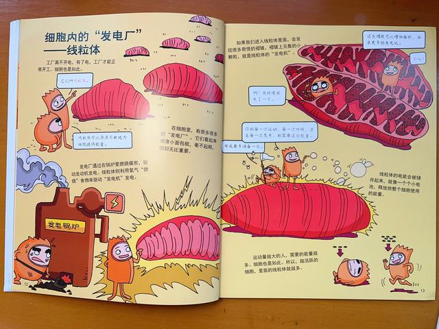 “生物”是什么？ 它就像生活在我们周围的陌生人一样...823 / 作者:天上跑鸟跑ac / 帖子ID:124173