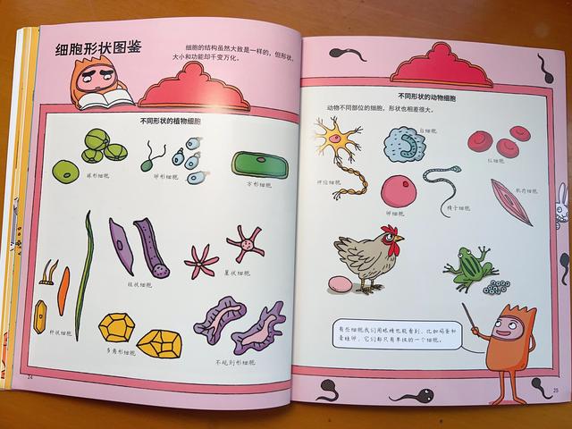 “生物”是什么？ 它就像生活在我们周围的陌生人一样...584 / 作者:天上跑鸟跑ac / 帖子ID:124173