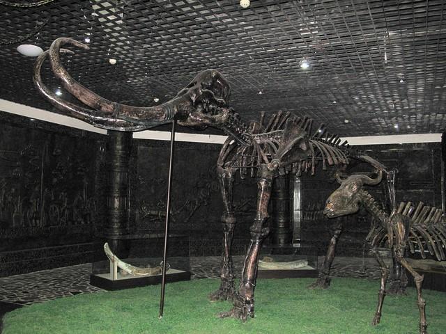 了解生物学的定义和历史127 / 作者:David墨 / 帖子ID:124174