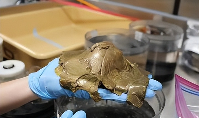 墨西哥公开的两具外星人尸体，体内还有三个蛋！30%DNA不属于地球7 / 作者:蓝色的天空888 / 帖子ID:124177