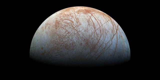 人类至今没找到外星人，会不会外星生命，其实以植物形态存在？504 / 作者:制菜参力 / 帖子ID:124178