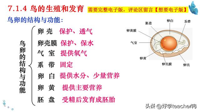 七八年级上下册生物（背诵版+默写版）7天牢记，轻松满分呢799 / 作者:123457710 / 帖子ID:125465