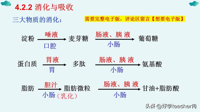 七八年级上下册生物（背诵版+默写版）7天牢记，轻松满分呢845 / 作者:123457710 / 帖子ID:125465